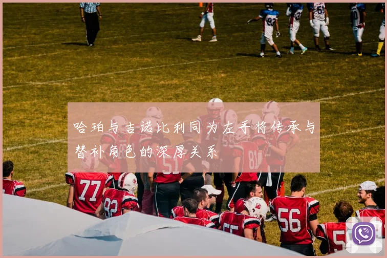 哈珀与吉诺比利同为左手将传承与替补角色的深厚关系